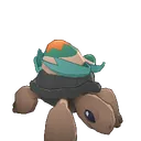 Aqua Tortrock
